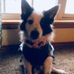 Linda Eager - @linda.eager.92 - Instagram