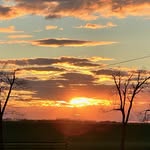 Linda Eagleson Frazier - @eaglesonfrazier - Instagram
