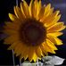 Linda Johnson Gilpin Eberwein - Facebook