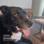 Linda Ehrhardt-Dube - @anniekins56 - Instagram