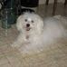 Linda Ehrhart - Facebook