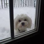 Linda Marschall Ehrhart - @linmae50 - Instagram