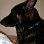 linda wood ehrhart - @lindawoodehrhart - Instagram