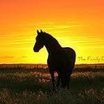 Linda Eichinger - @c_angel63 - Instagram