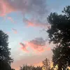 lindaeichner6 - @lindaeichner6 - TikTok