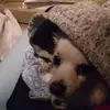 Linda Eidson - @linda.eidson4 - TikTok