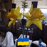 Linda Ruth Eilers - @lindarutheilers - Instagram
