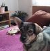 Linde Eisele - Facebook