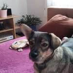 Linde Eisele - @lindeeisele - Instagram
