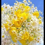 Linda Eldred - @strawberryfieldsandflorist - Instagram