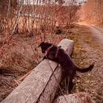 Linda Schöler - @linda.e.schoeler - Instagram