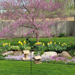 Linda Evenson Parks - @skosh1946 - Instagram