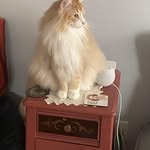 Linda Evenson Reed - @linda_evenson_reed - Instagram