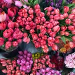 Linda🌺 - @linda_federmann - Instagram