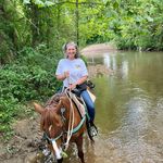 Linda Few Stone - @lstone1028 - Instagram