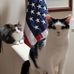 Linda Firestone - Facebook