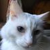 Linda Firestone - Facebook