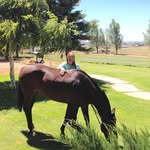 Linda Flake - @flake1448 - Instagram