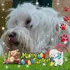 lindaflocke - @lindaflocke - TikTok