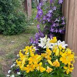 Linda Fluke - @linda.fluke.5 - Instagram