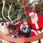 Linda Fluke - @linda.fluke - Instagram