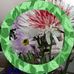 Linda Fluker - Facebook
