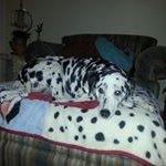 Linda Flynt - @harleyprincess_7 - Instagram