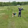 Linda Forest - @linda.forest6 - TikTok