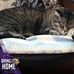Linda Fredrickson - Facebook