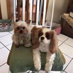 Linda Jacobs-Fredrickson - @lindajacobsfredrickson - Instagram