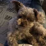 Linda Gärtner - @linda.gartner.79 - Instagram