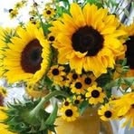 Linda Gartner - Facebook