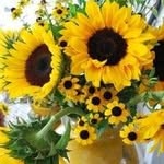 Linda Gartner - @linderg1201 - Instagram