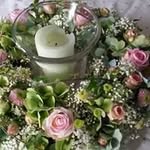 Linda Gärtner - @linda.gartner.775 - Instagram