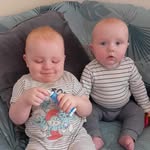 Linda Gemmill - @petknitsbylinda_ - Instagram
