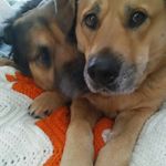 Linda Cromwell Graczyk - @cromwellgraczyk - Instagram