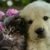 Linda Grady - @linda.grady8 - TikTok