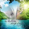 Linda Gregory Holbro - @lindagregoryholbrook - TikTok