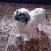 Linda Mc Gregor - Facebook