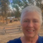 Linda Ward Grinstead - @lingrinz - Instagram