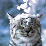 Linda Guyer - Facebook