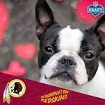 Linda Guyer Jenkins - @lindaguyerjenkins - Instagram