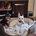 Linda Guymon - Facebook