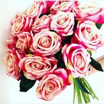 laseringue linda - @linda__hack - Instagram