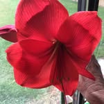 Linda Hammonds - @hammonds9509 - Instagram