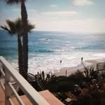 Linda Hammonds - @lindahamnds - Instagram