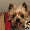 lindahammonds3 - @lindahammonds3 - TikTok