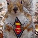 Linda Hannan - @hannan5207 - Instagram