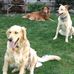 Linda Haven - Facebook