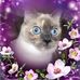Lynda Hutsell - Facebook